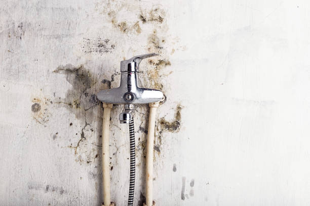 Piedmont, SC Mold Remediation Company
